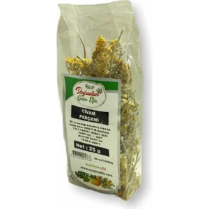 Civan Perçemi 25GR