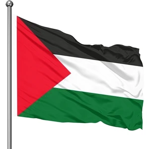 Asya Bayrak Filistin Bayrağı 70X105 cm Rashel Kumaş