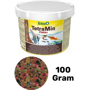 Tetramin Flakes Pul Yem 100 gr