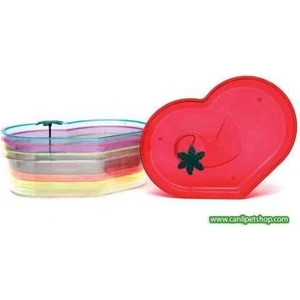 Canlı Petshop Kaplumbağa Bahçesi Kalp Desenli