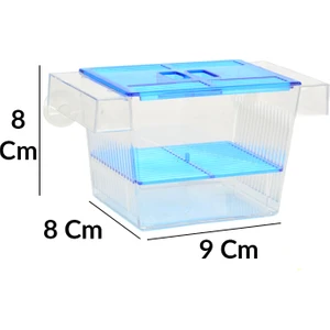 Aqua Magic  Balık Yavruluk Küçük Tekli
