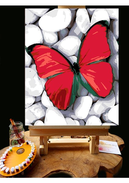 N1179 - Numaralı Boyama Seti - 40 x 50 cm Kasnağa Gerili Ürün - Taşlar ve Kelebek