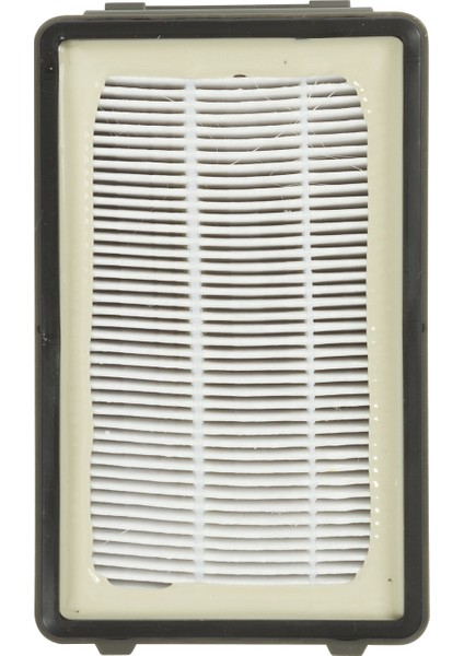 Rowenta Ro 3719 Compact Power Cyclonic Uyumlu Kare Hepa Filtre modelleri