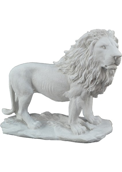 Aslan Biblo HYK16