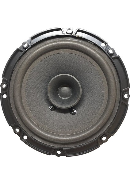 PW-16/100 4 Ohm 100 Watt 16 cm Tekli Hoparlör