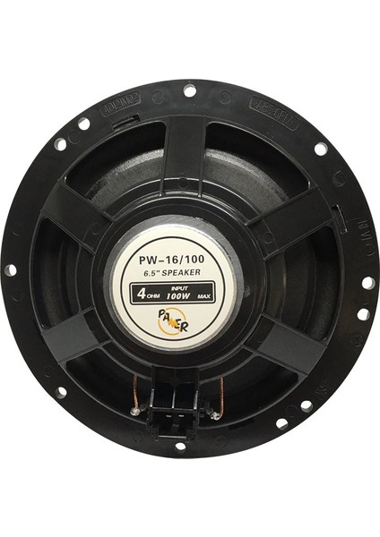 PW-16/100 4 Ohm 100 Watt 16 cm Tekli Hoparlör