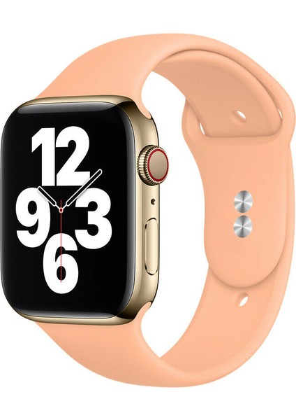 42 mm - 44 mm M/l Apple Watch 3 4 5 6 Se Uyumlu Silikon Kordon Kayış Greyfurt