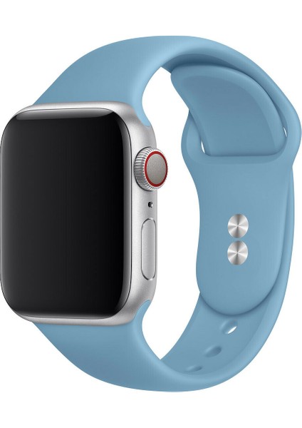 42 mm - 44 mm M/l Apple Watch 3 4 5 6 Se Uyumlu Silikon Kordon Kayış Bebe Mavisi