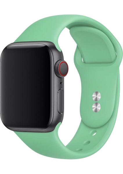 42 mm - 44 mm M/l Apple Watch 3 4 5 6 Se Uyumlu Silikon Kordon Kayış Turkuaz