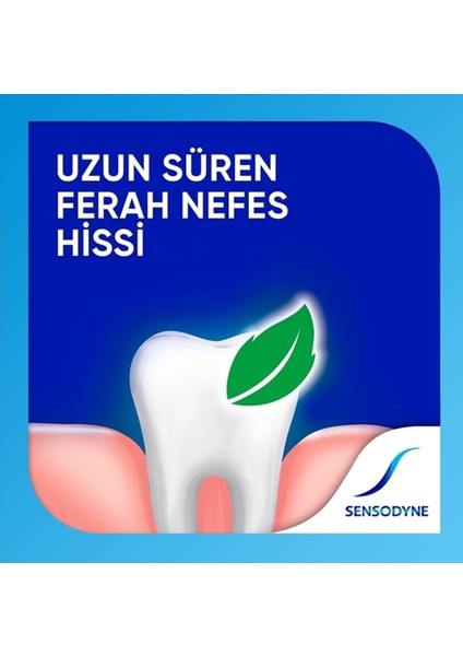 Diş Macunıu 50 Ml X 4 Adet indirimleri