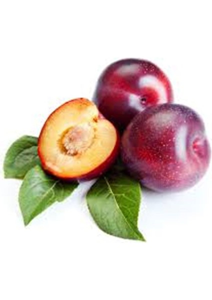 Erık Italyan 1 kg