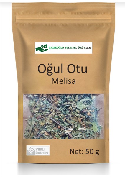 Oğul Otu 50 gr