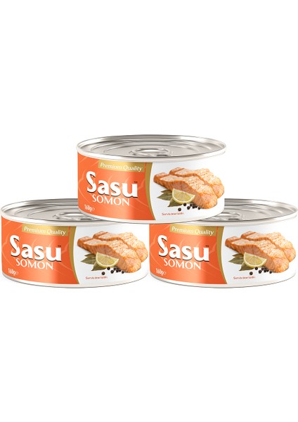 Somon Balığı 3 x 160 G Bütün Dilim