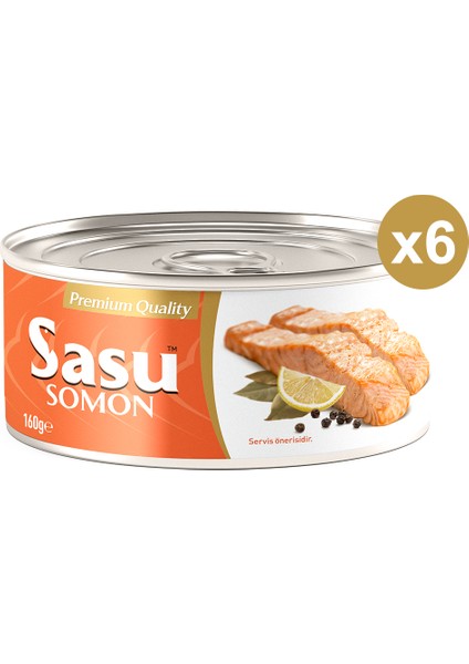 Somon Balığı 6 x 160 G Bütün Dilim