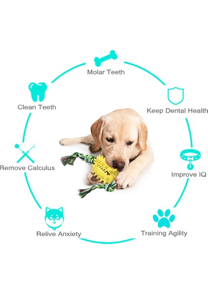 Halatlı Köpek Çiğneme Oyuncağı fiyatları
