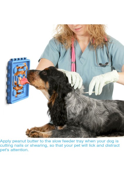 4 Adet Köpek Yalama Plakası
