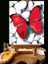 N1179 - Numaralı Boyama Seti - 40 x 50 cm Kasnağa Gerili Ürün - Taşlar ve Kelebek 1