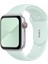 42 mm - 44 mm S/m Apple Watch 3 4 5 6 Se Uyumlu Silikon Kordon Kayış Mint Yeşil 1