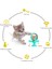 Interaktif Kedi Besleyici Oyuncak-Sarı(Yurt Dışından) 3