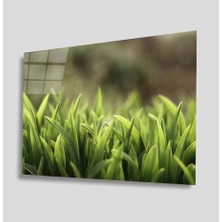 Idealizbiz Yeşil Cam Tablo 4mm Dayanıklı Temperli Cam