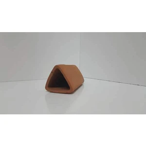Canlı Petshop Cüce Vatoz Yavruluğu (Yuva) 1 Ad Üçgen
