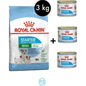 Royal Canin Mini Starter  3 kg + 'lü Royal Canin Starter Mousse 195 gr