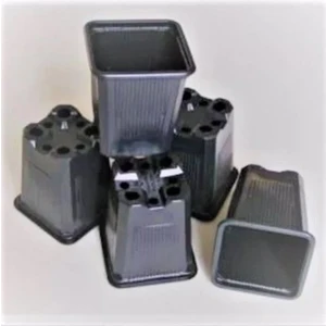 Viyol Kare Vakumlu Termoform Fidan Fide Üretim Saksısı Orta Boy 8X8X8 1000 Adet