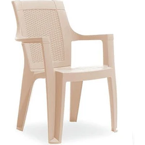 Elegance Rattan Desenli Plastik Koltuk Capi