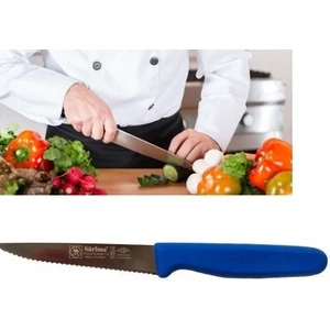 Lazerli Tırtıklı Sebze Steak Ekmek ve Biftek Bıçağı 61004-LZ Mavi