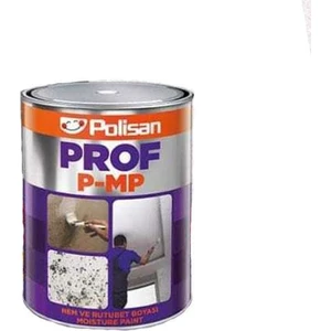 Prof P-Mp Nem ve Rutubet Boyası 1 Kg.
