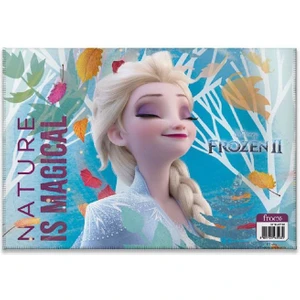 Frozen Iı Çıtçıtlı Dosya  Nature Is Magical OTTO43503