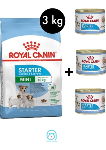 Mini Starter 3 kg + 'lü Royal Canin Starter Mousse 195 gr