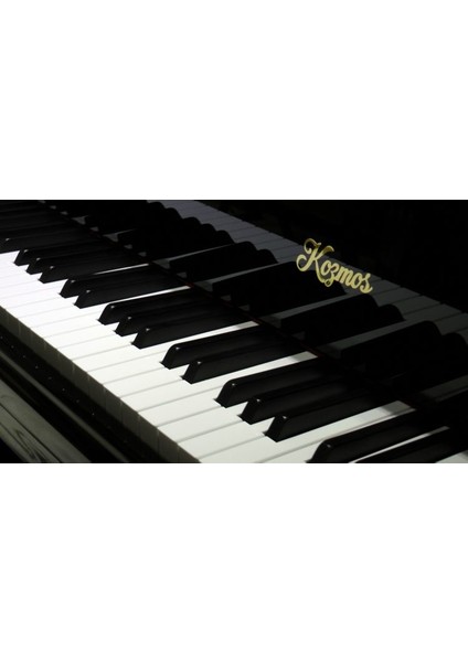 KGP-160BKG Parlak Siyah 160 cm Kuyruklu Piyano fiyatları