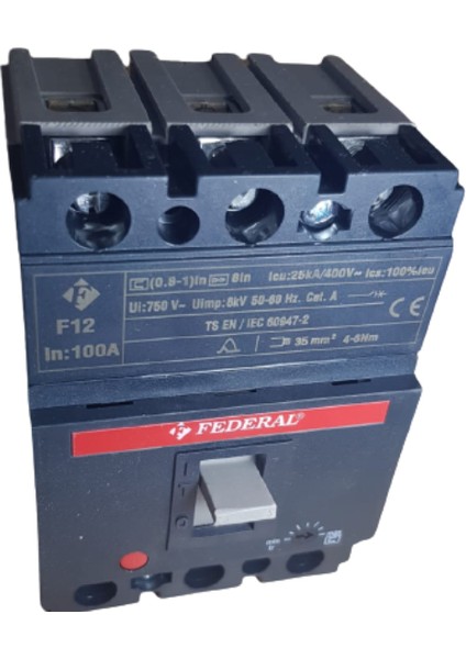 F12 100A Termik Manyetik Şalter Federal