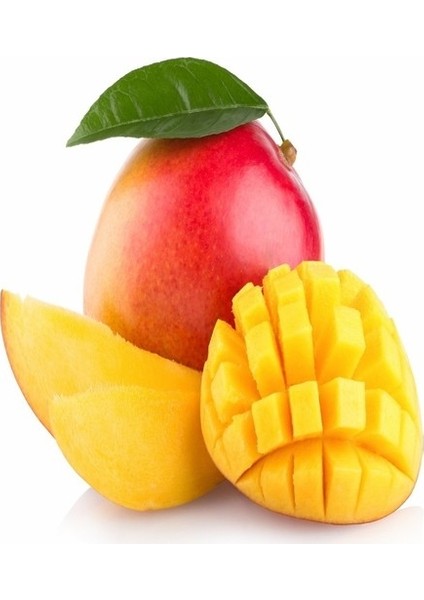 Tüplü Mango Fidanı