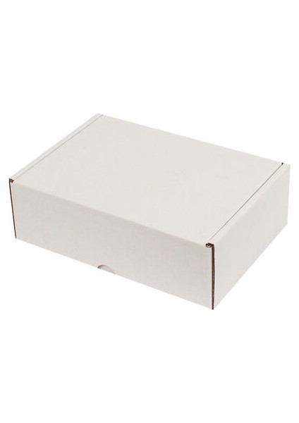 20x13x3,8cm Kilitli Kutu -Beyaz 10'lu