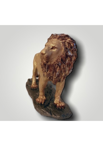 Polyester Aslan Biblo