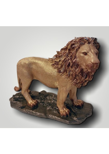 Polyester Aslan Biblo