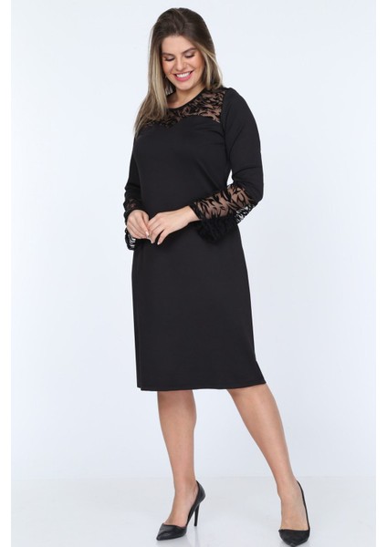 Zebra Ispanyol Kol Büyük Beden Elbise 19C-0748