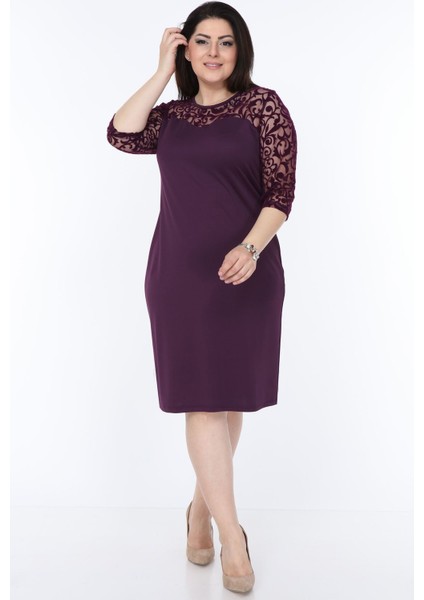 Mor Renkli Büyük Beden T-Shirt Elbise Klasik Stil Truvakar Kol Kadın