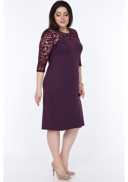 Mor Renkli Büyük Beden T-Shirt Elbise Klasik Stil Truvakar Kol Kadın fiyatları