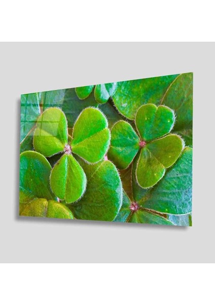 Yeşil Cam Tablo 4mm Dayanıklı Temperli Cam