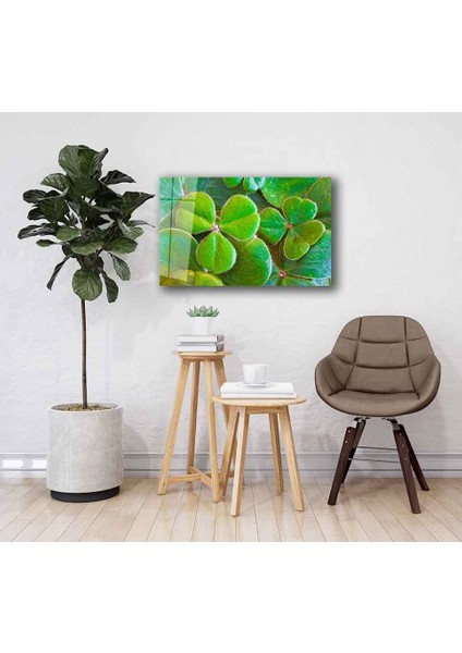 Yeşil Cam Tablo 4mm Dayanıklı Temperli Cam fiyatları