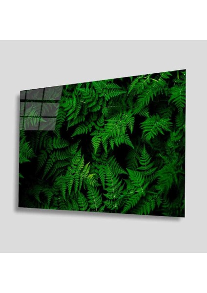 Yeşil Cam Tablo 4mm Dayanıklı Temperli Cam