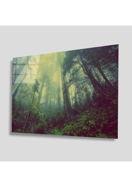 Yeşil Orman Cam Tablo 4mm Dayanıklı Temperli Cam