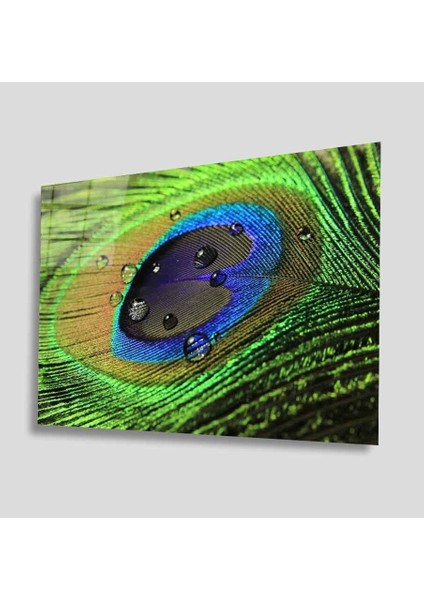 Yeşil Cam Tablo 4mm Dayanıklı Temperli Cam