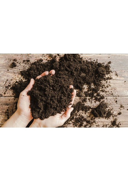 Saksı Toprağı 2 Paket Bitki Toprağı Torf Toprak 3 Litre