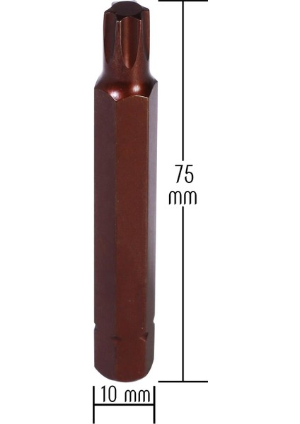 Kaplamalı Mıknatıslı Torx Bits Uç T30 75 mm