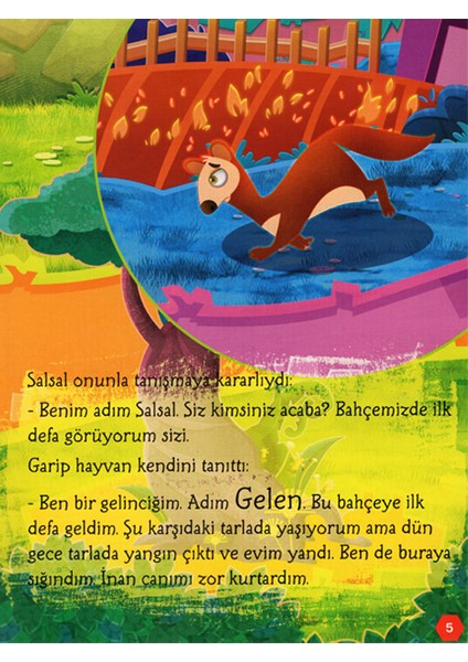 Merhaba Yeni Arkadaşım - Meraklı Salsal 9 - Asiye Aslı Aslaner modelleri