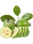 Tüplü (Kaymak Ağacı) Feijoa Fidanı 1